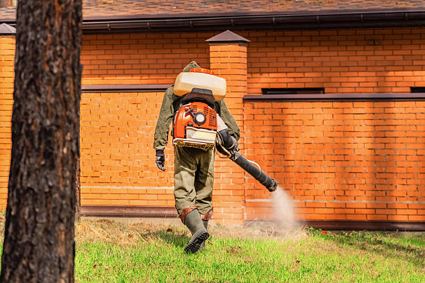 Top rated local Mosquito Control specialists in Vista Center, NJ